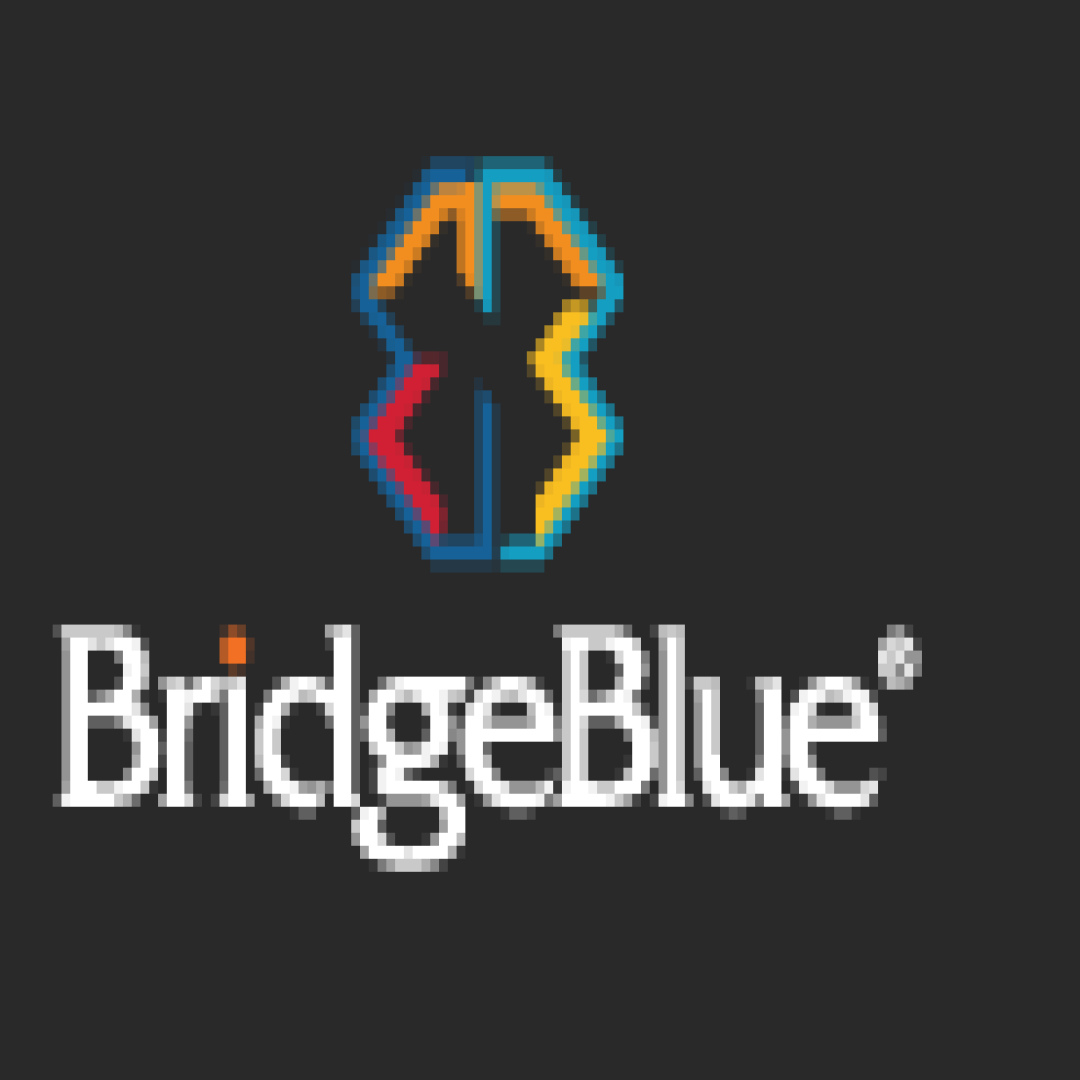 Bridge Blue Global