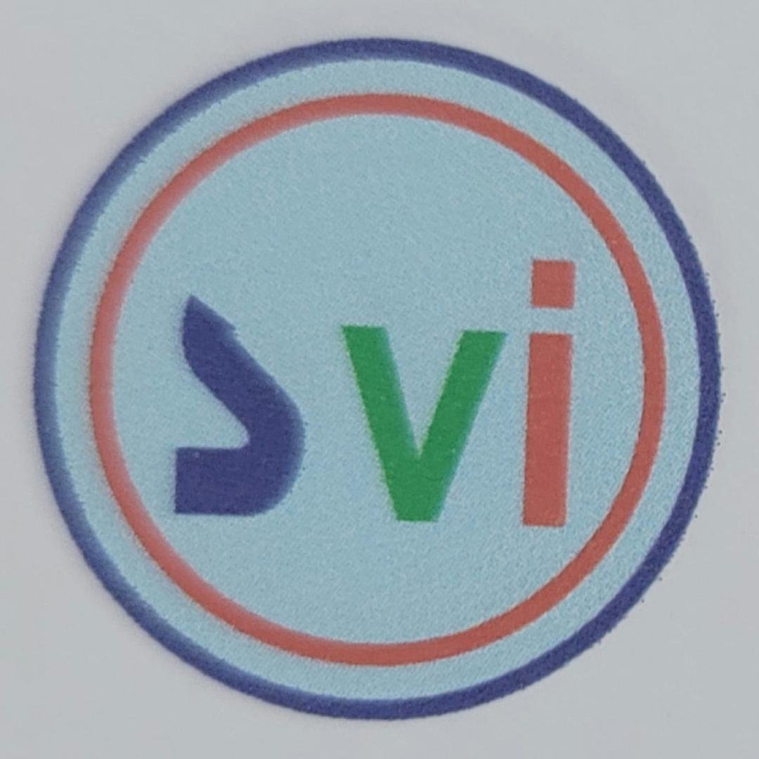 Study Vision International