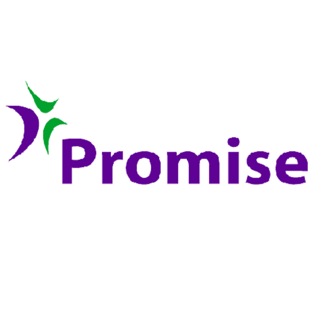 Promise Consultancy